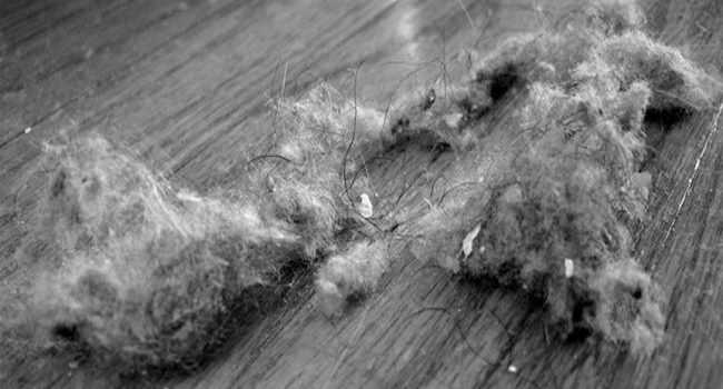 Come eliminare la polvere in eccesso in casa